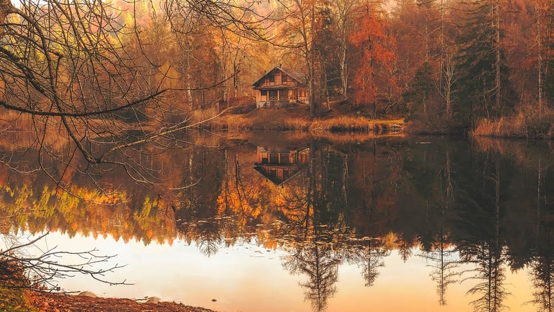 Cozy Cabin by the Lake